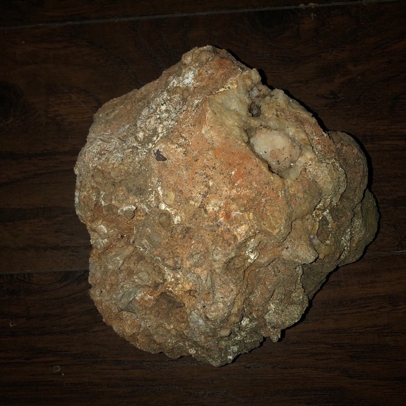 Ancient Ocean fossilized coral - Picture 5 of 6